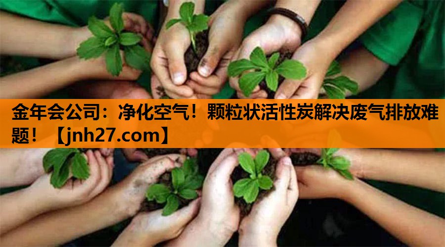 净化空气！颗粒状活性炭解决废气排放难题！