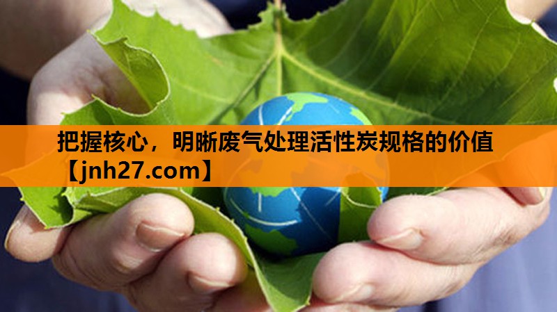 把握核心，明晰废气处理活性炭规格的价值
