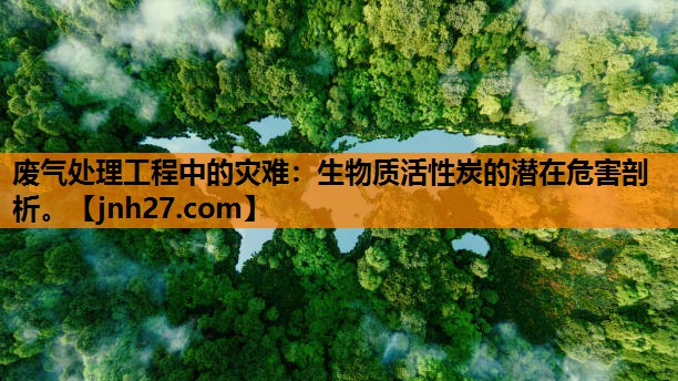 废气处理工程中的灾难：生物质活性炭的潜在危害剖析。